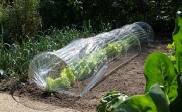 Bloemen en planten beschermen met folie