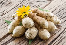 Aardpeer Helianthus tuberosus