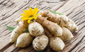 Aardpeer Helianthus tuberosus