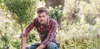 Een boom planten boom planten