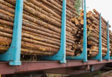 Hout transporteren en opslaan houttransport
