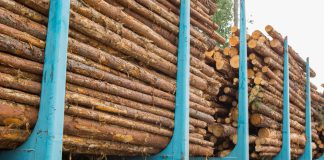 Hout transporteren en opslaan houttransport