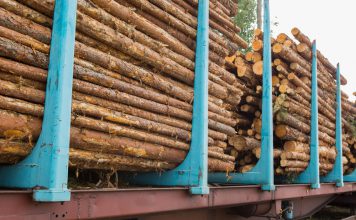 Hout transporteren en opslaan houttransport