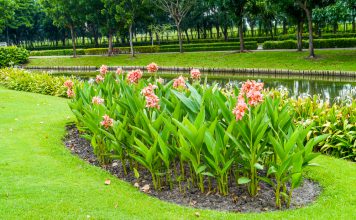 Indisch bloemriet indisch bloemriet