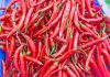 Spaanse peper spaanse peper
