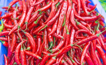 Spaanse peper spaanse peper