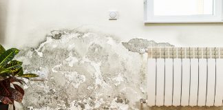 vocht muur
