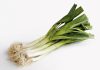 Prei Prei (Allium porrum)