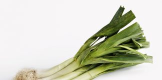 Prei Prei (Allium porrum)