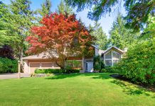 Esdoorn esdoorn voor een huis