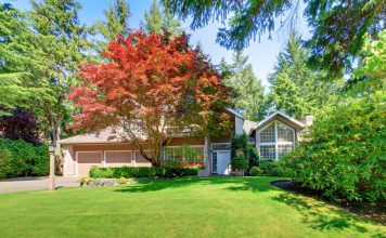 Esdoorn esdoorn voor een huis