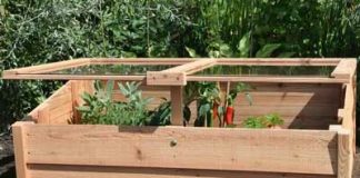 Vroege oogst door kweekbak