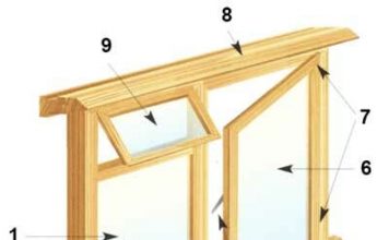 Ramen: types en constructies