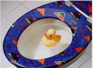 Riool afvoer of wc verstopt