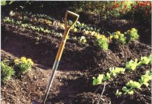 Verbetering van tuingrond