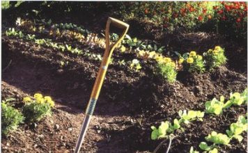 Verbetering van tuingrond