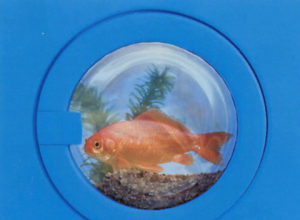 Wasmachine kapot, zelf maken