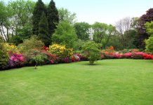 Een groen gras gazon groen gazon