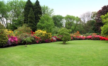 Een groen gras gazon groen gazon