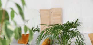 woonkamer met planten