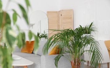 Je woonkamer opfleuren? Wij geven je tips! woonkamer met planten