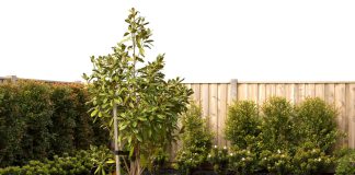 Kunstgras Legservice: Alles wat u moet weten kunstgras in de tuin