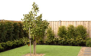 Kunstgras Legservice: Alles wat u moet weten kunstgras in de tuin