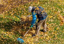 Hoe maak je jouw tuin winterklaar tuinonderhoud