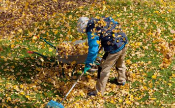 Hoe maak je jouw tuin winterklaar tuinonderhoud