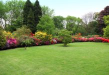 Goed gazononderhoud: Bereik een perfect gazon met deze eenvoudige tips Depositphotos_28588363_S