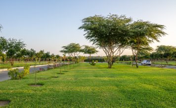 Een strak en egaal grasveldje: zo plant u zelf gras aan mooi grasveld